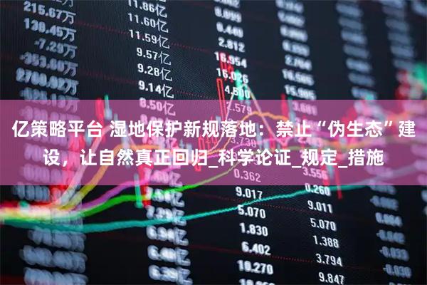 亿策略平台 湿地保护新规落地:禁止“伪生态”建设,让自然真正回归_科学论证_规定_措施